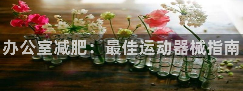 尊龙网站手机下载